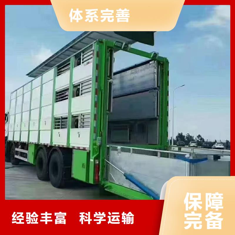 泗阳县到散装料专用车保障