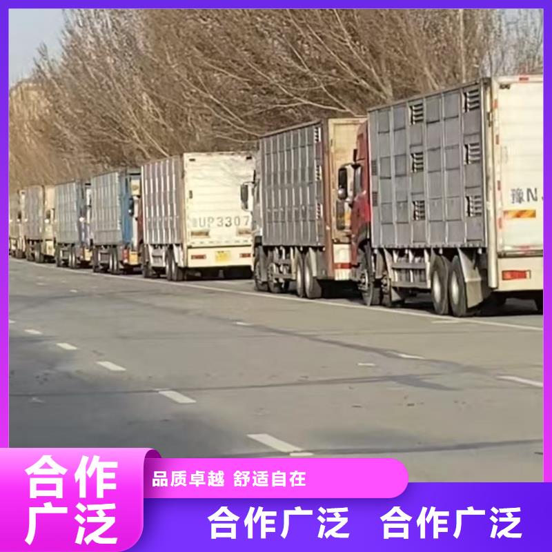 宿迁泗洪到猪牛羊运输
