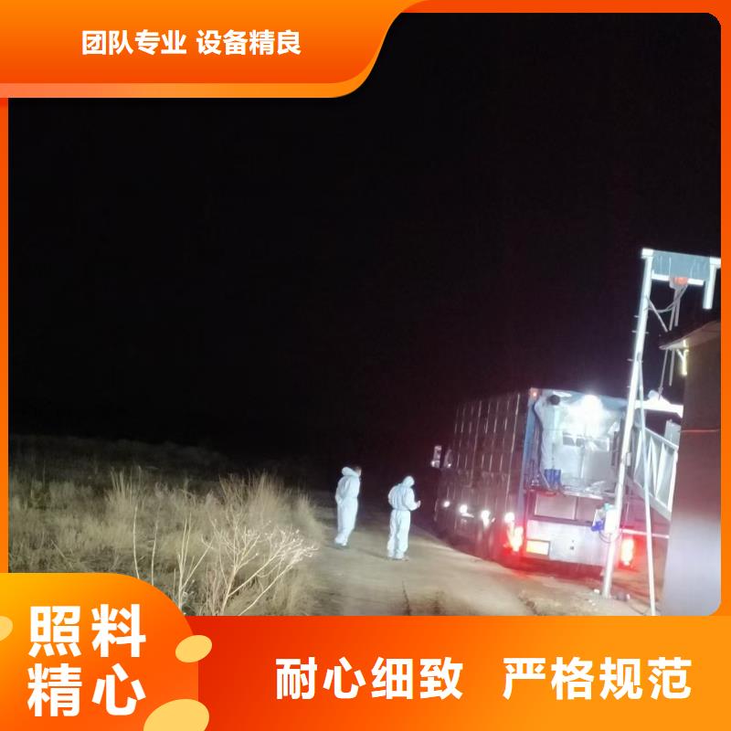 宿迁市沭阳到高栏车肥猪运输路线优化