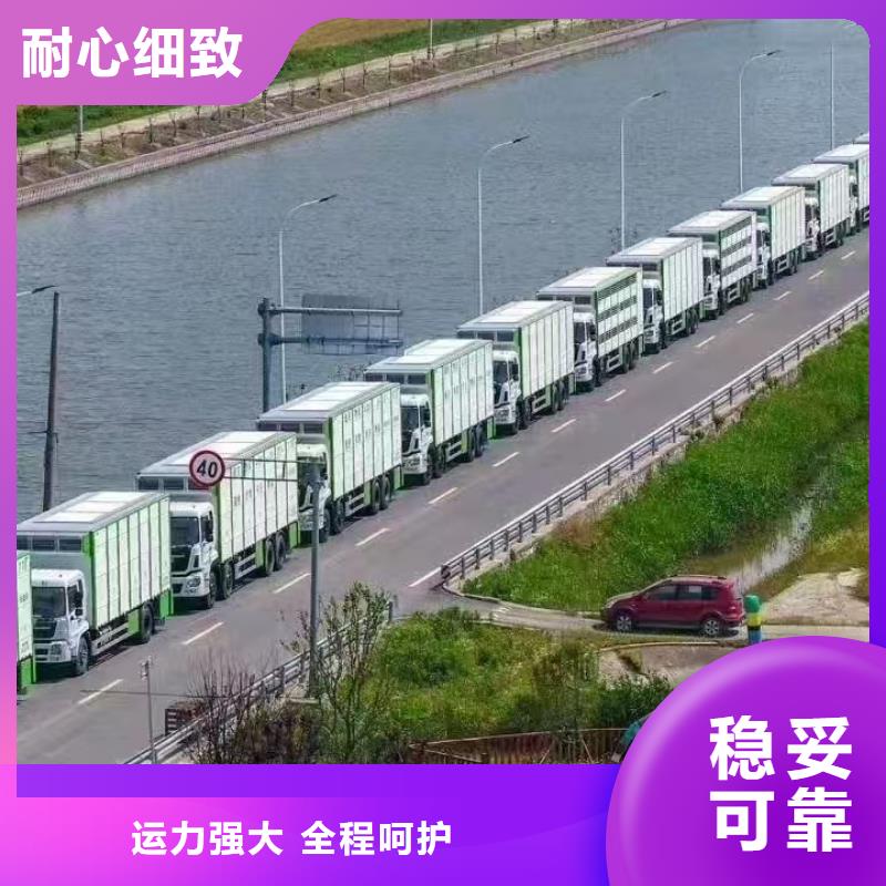 宿迁市沭阳到羊运输专用车口碑良好