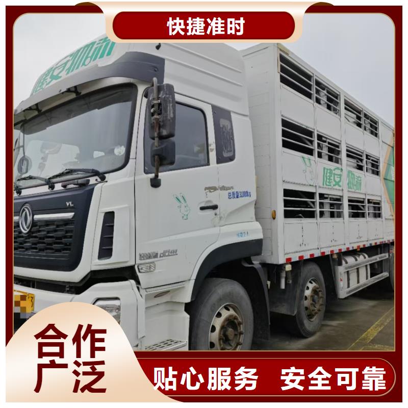 泗阳县到散装料专用车保障