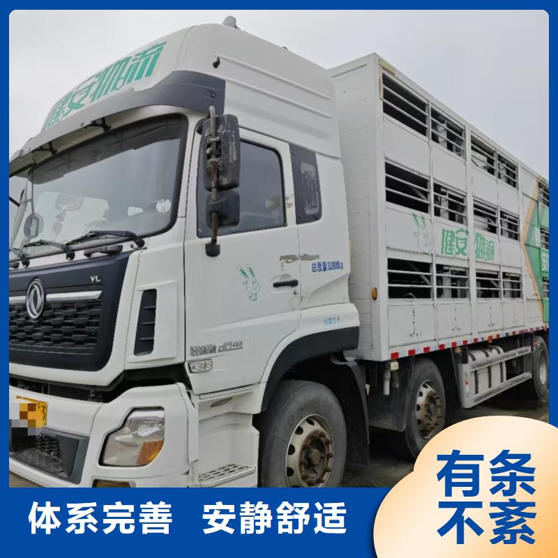 宿迁市泗洪到牛运输专用车资质齐全