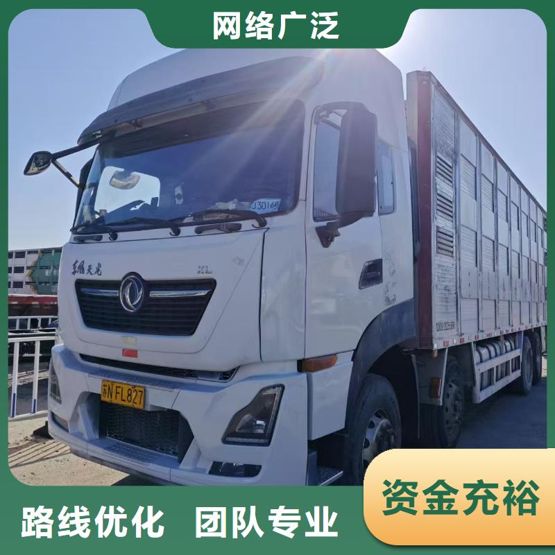 宿迁市泗洪到牛运输专用车资质齐全