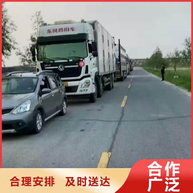 宿迁市沭阳到羊运输专用车口碑良好