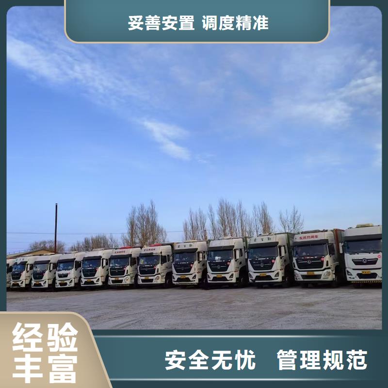 宿迁市泗洪到牛运输专用车资质齐全