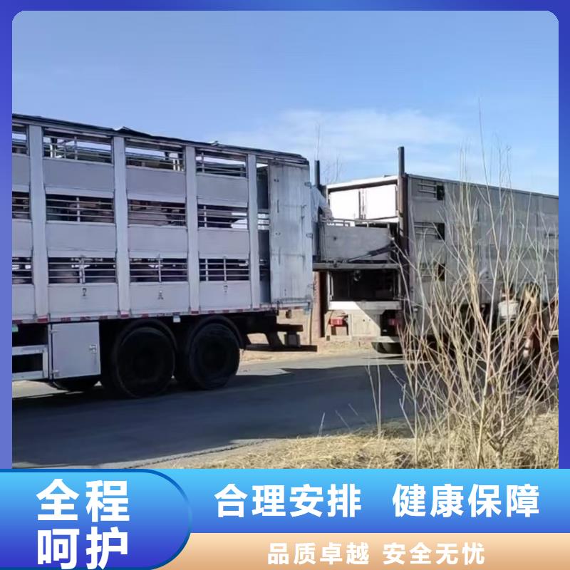 泗阳县到散装料专用车保障