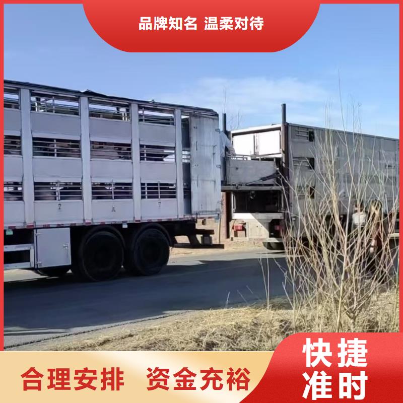 宿迁到原料运输整车物流