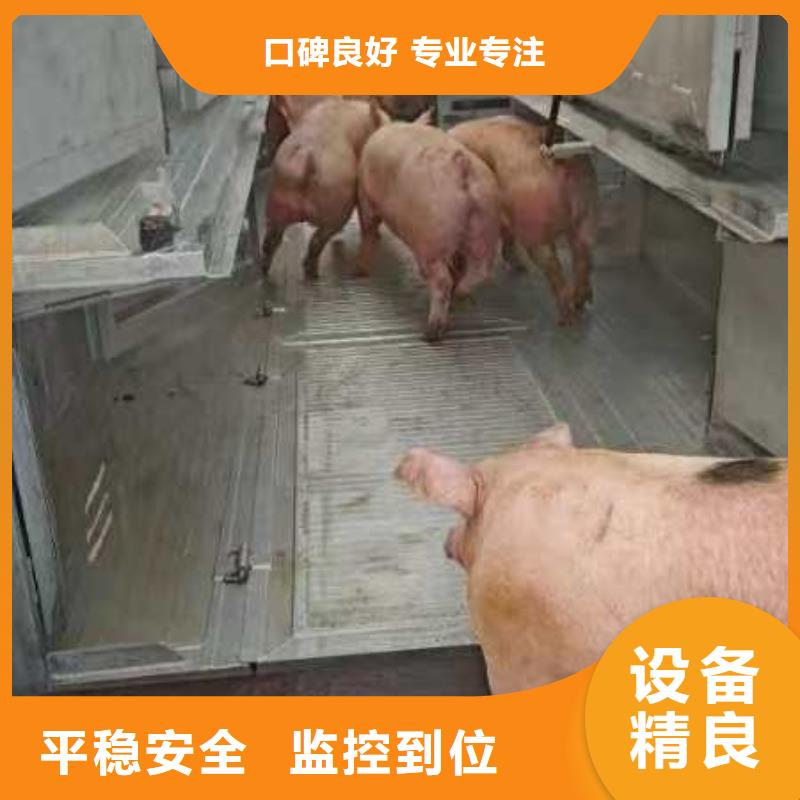 宿迁市沭阳到羊运输专用车口碑良好