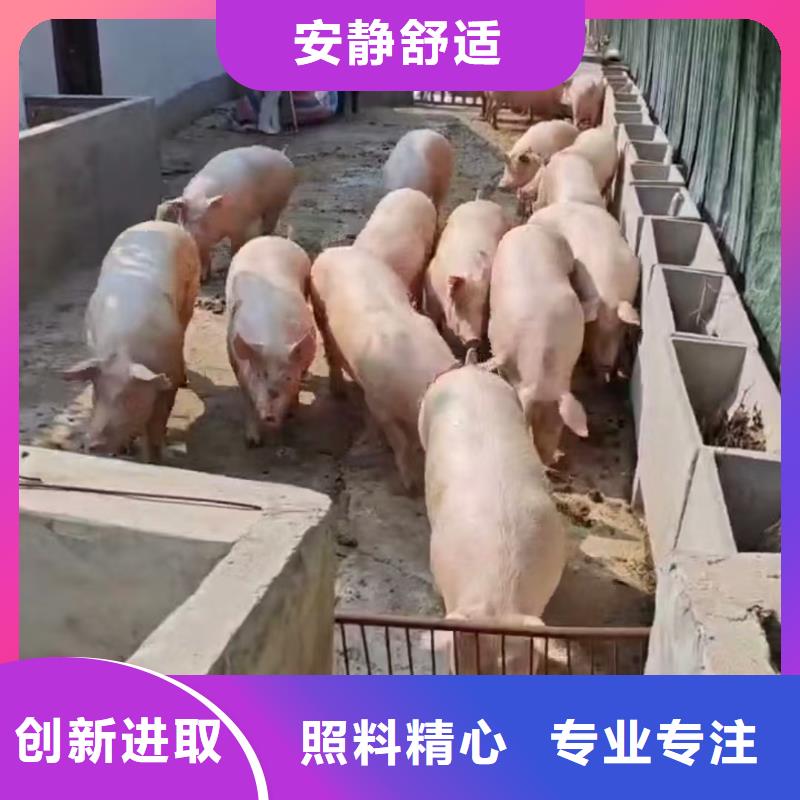 宿迁到散装料专用车专线直达