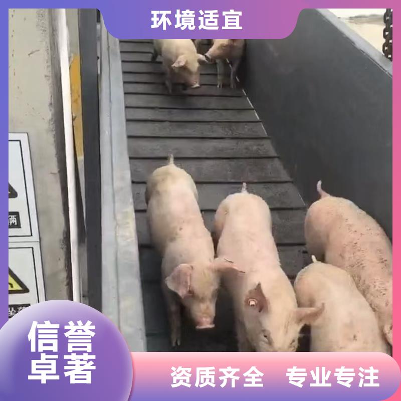 宿迁到空调车运输保障有力