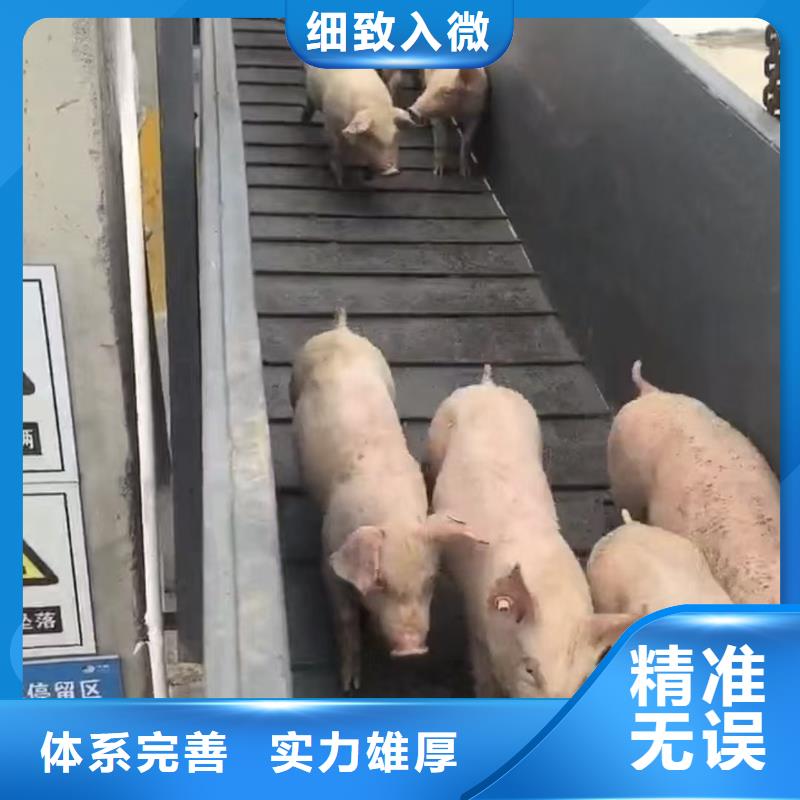 宿迁市泗阳到农牧物流快捷准时
