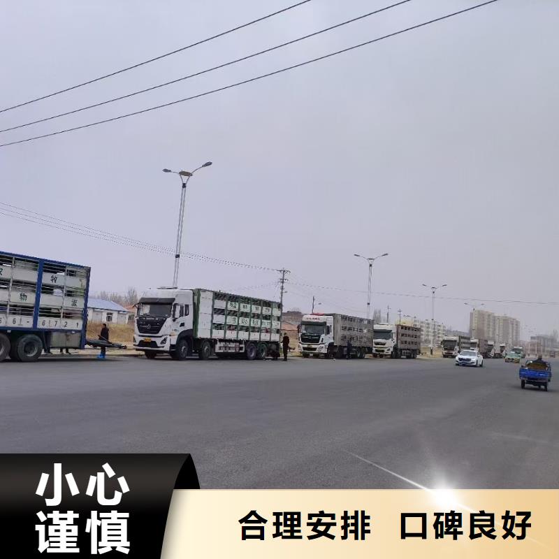 泗阳县到散装料专用车保障