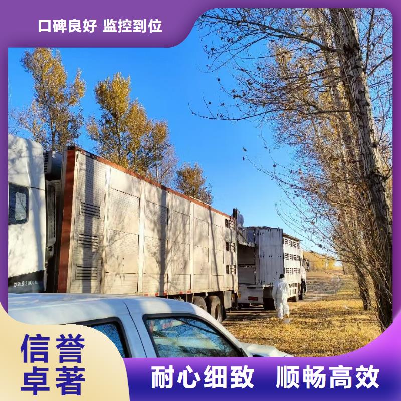 宿迁市泗阳到农牧物流快捷准时