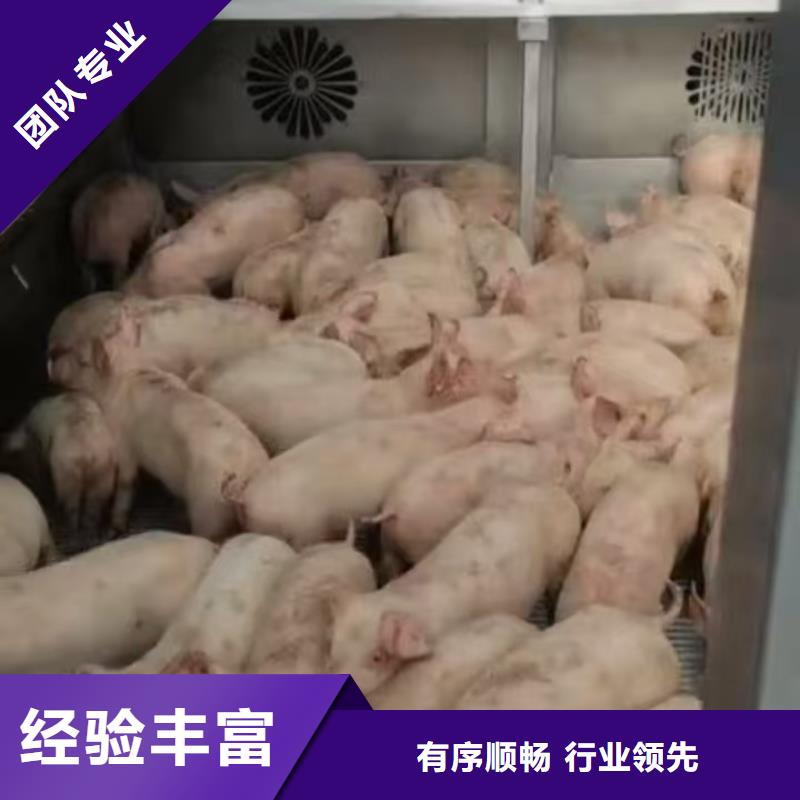 宿迁到猪笼车物流司机经验丰富