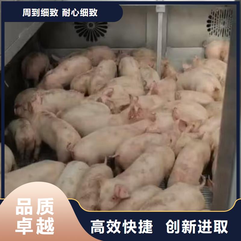 宿迁市泗阳到农牧物流快捷准时