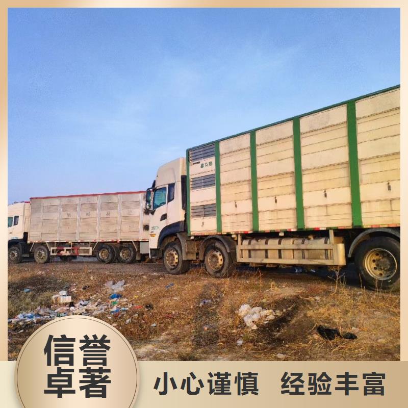 宿迁市泗洪到牛运输专用车资质齐全