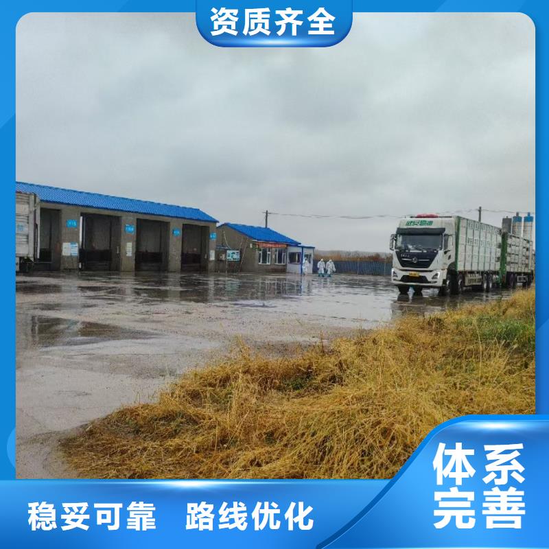 宿迁市沭阳到高栏车肥猪运输路线优化