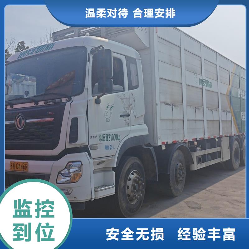 泗阳县到散装料专用车保障