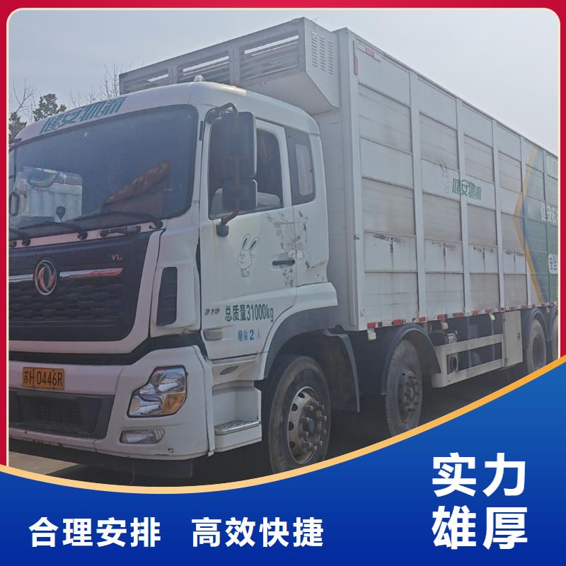 宿迁市沭阳到高栏车肥猪运输路线优化