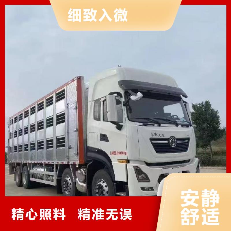泗阳县到散装料专用车保障