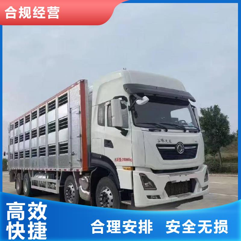宿迁市沭阳到羊运输专用车口碑良好