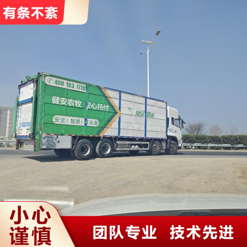 宿迁到猪笼车物流司机经验丰富