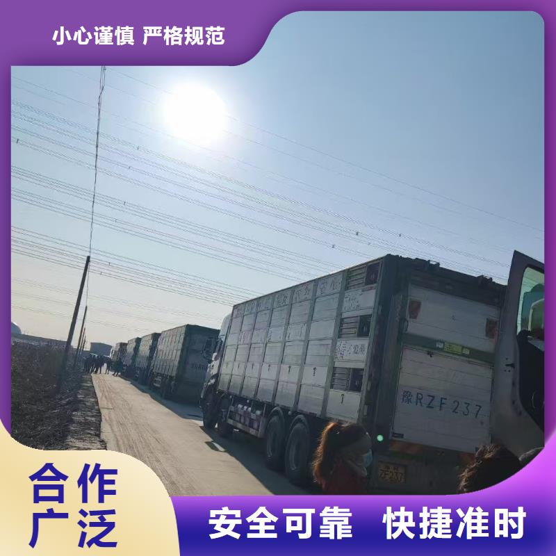 宿迁市沭阳到高栏车肥猪运输路线优化