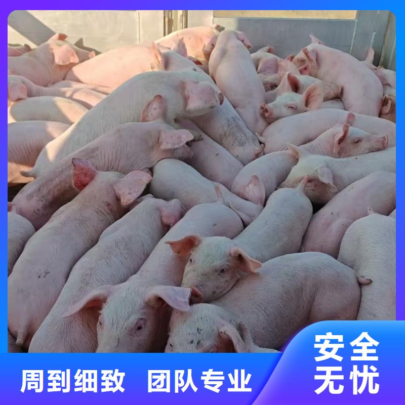 宿迁到空调车运输保障有力