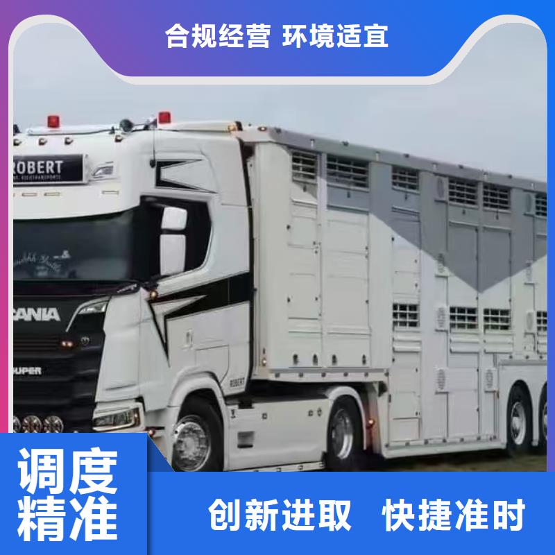 宿迁市沭阳到羊运输专用车口碑良好