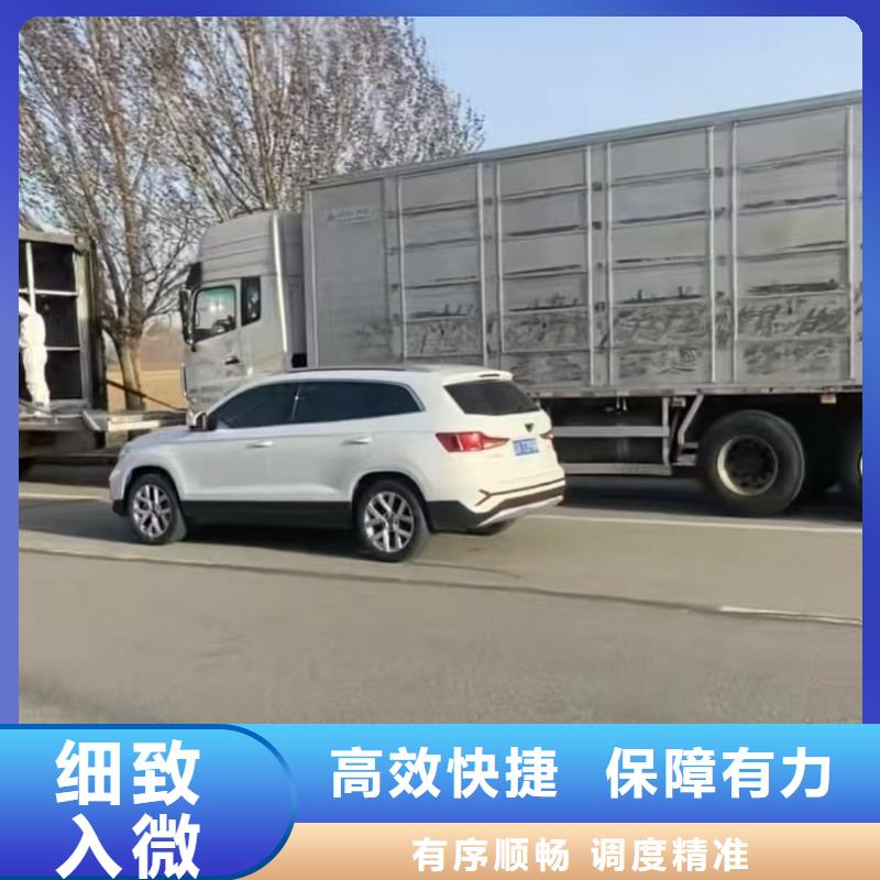 宿迁市沭阳到高栏车肥猪运输路线优化