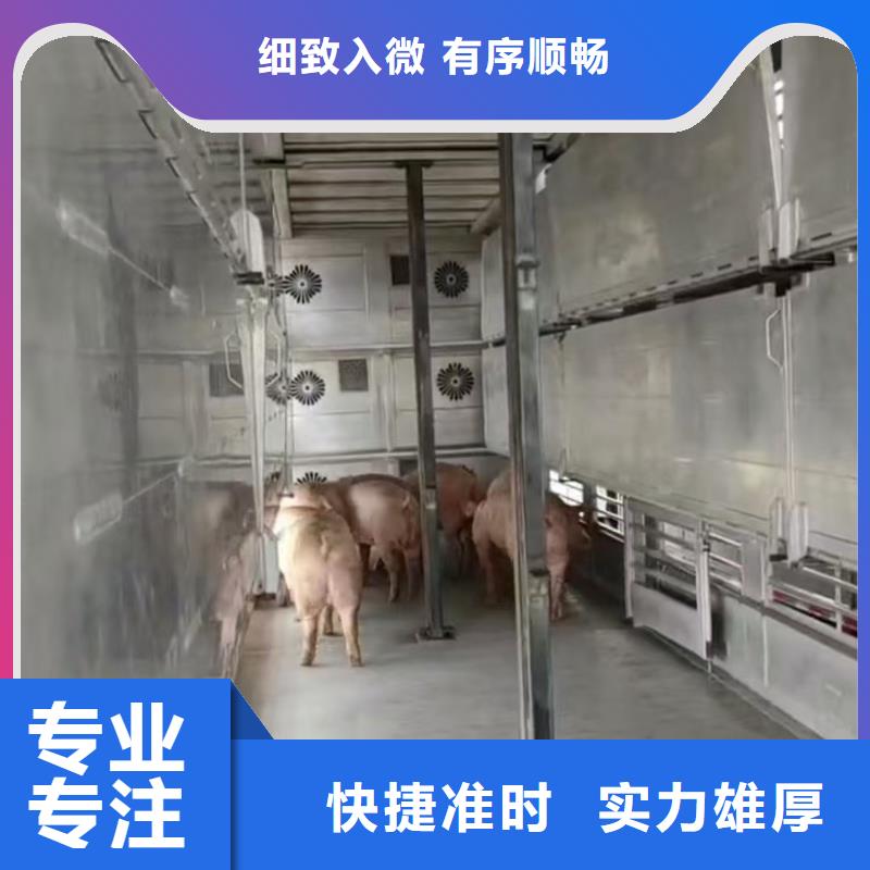 宿迁市沭阳到高栏车肥猪运输路线优化