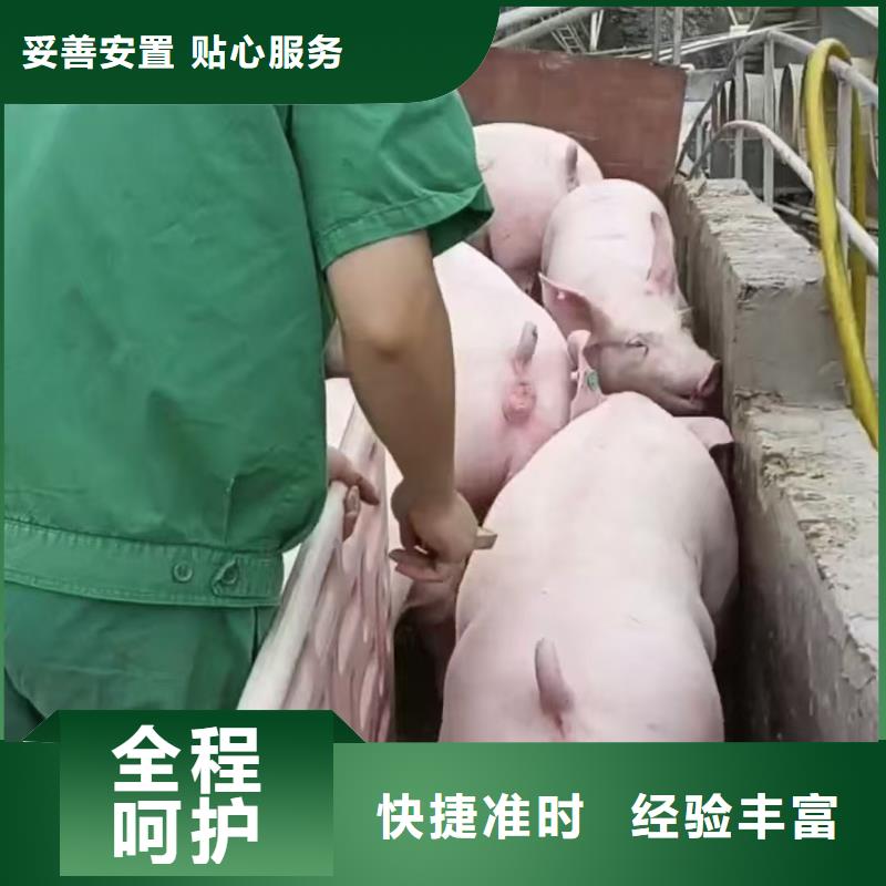 宿迁到空调车运输保障有力