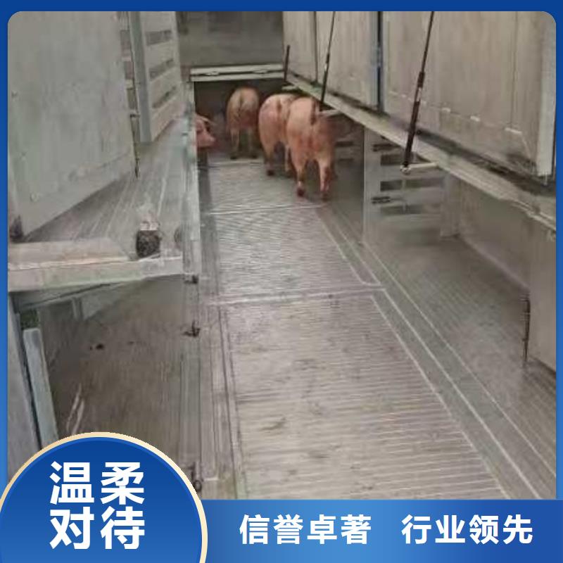 泗阳县到散装料专用车保障