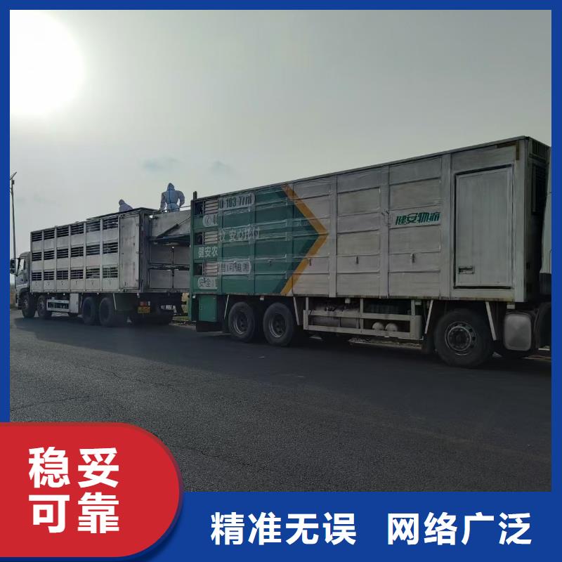 宿迁市沭阳到高栏车肥猪运输路线优化