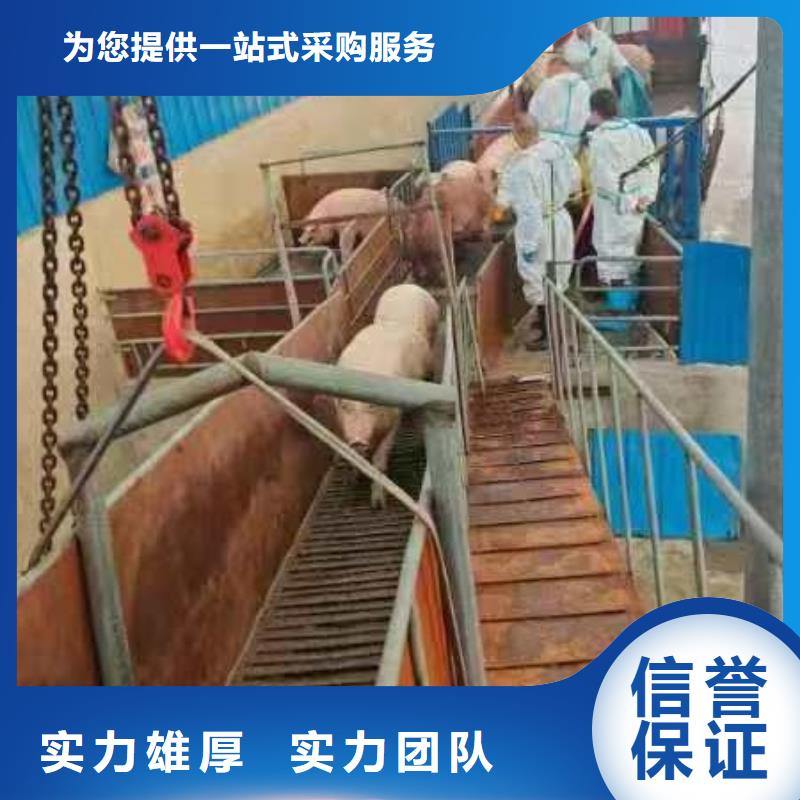 宿迁到农牧运输