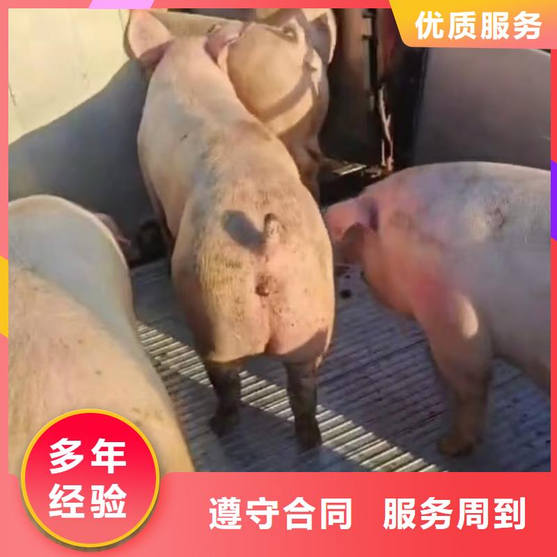 浙江到空调车运输
