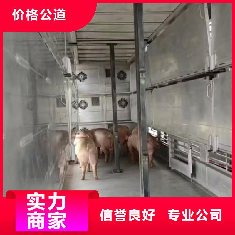 浙江到农牧运输