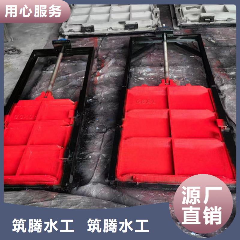 SYZ铸铁镶铜圆闸门真诚合作