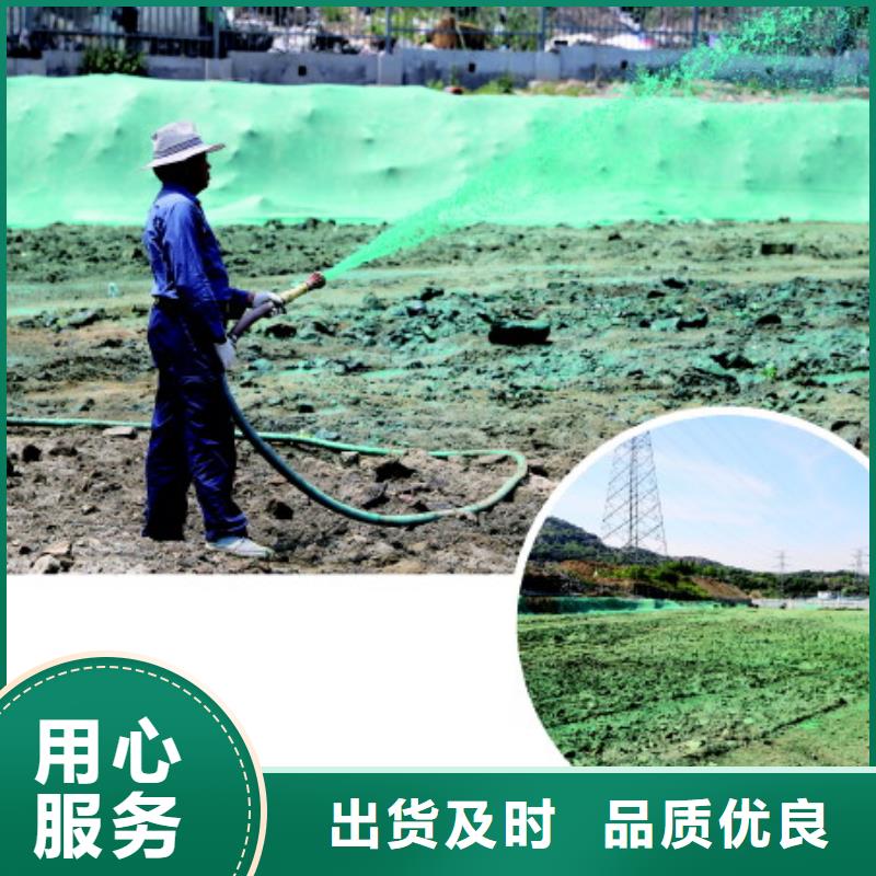 生物酶降尘剂技术支持