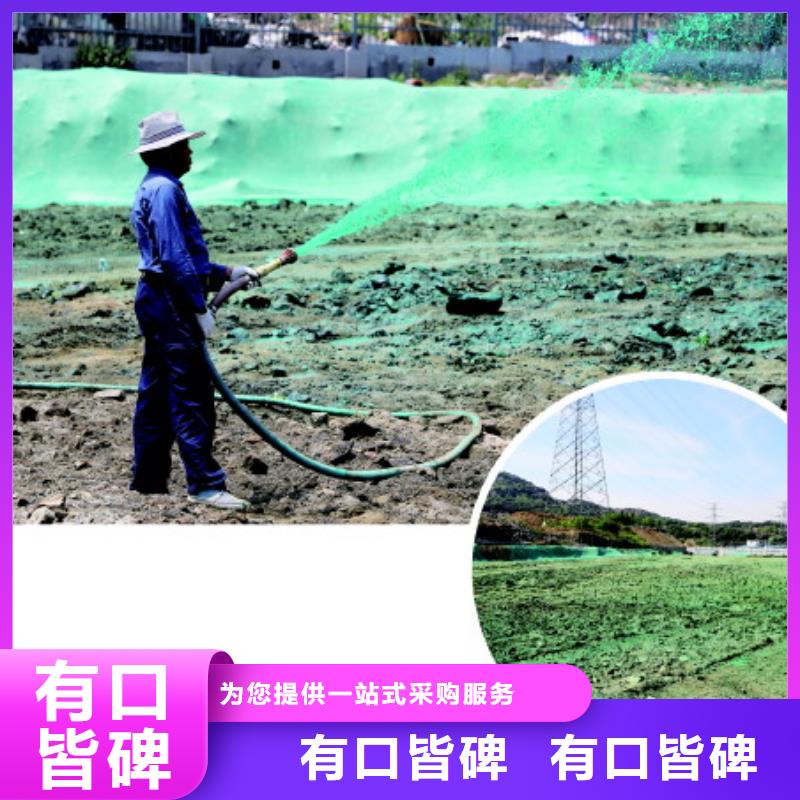 道路降尘剂技术支持
