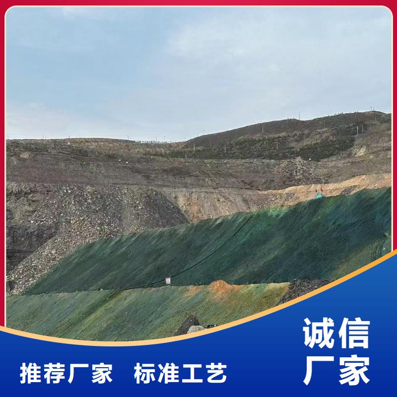 环保结壳抑尘剂