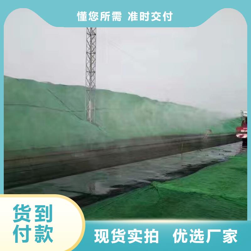 煤炭专用结壳抑尘剂今日